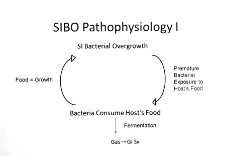 Patofizjologia SIBO