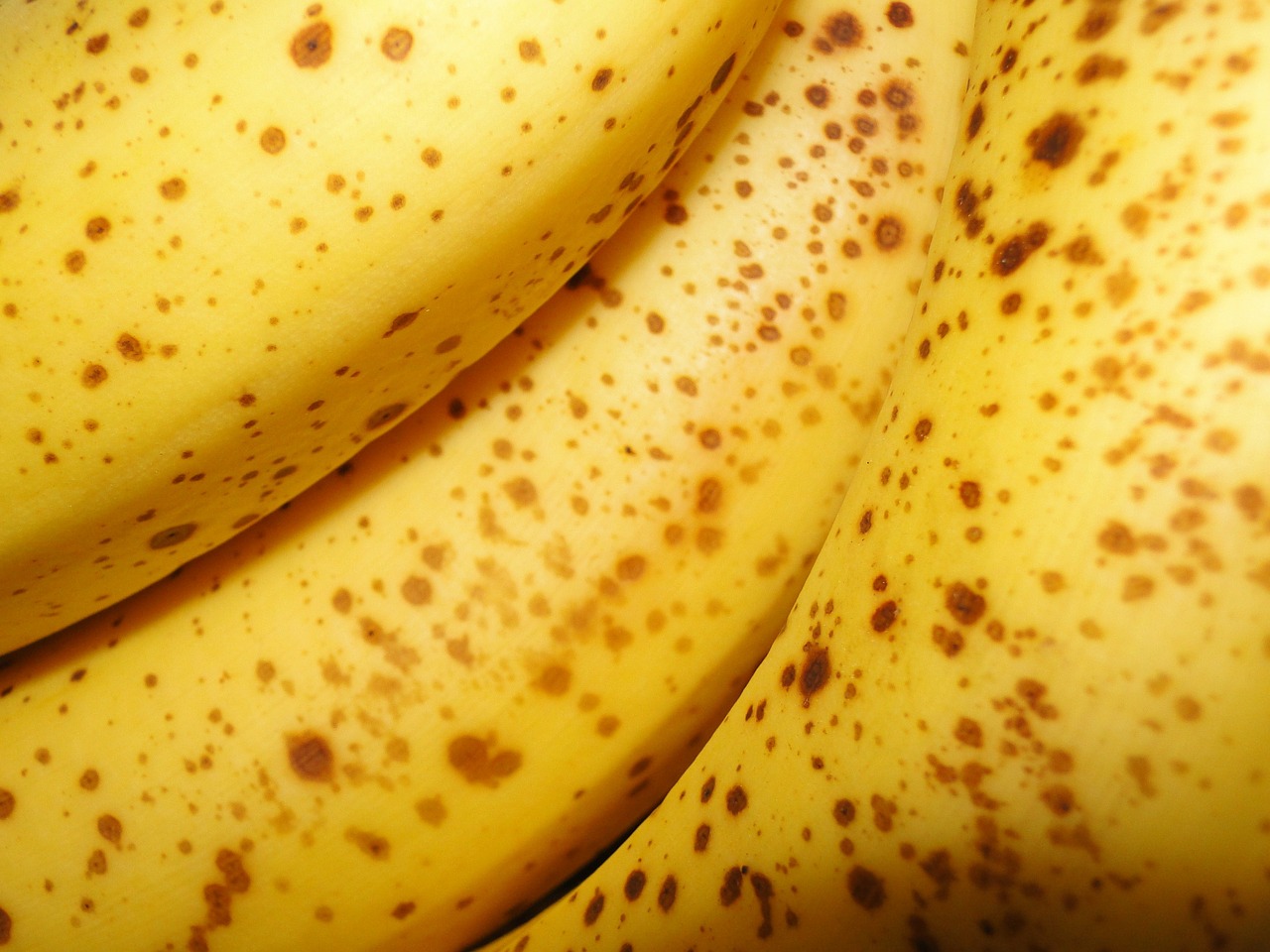 bananas-50406_1280