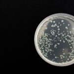 Mikrobiom 20 ciekawostek