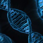 DNA jelita geny