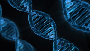 DNA jelita geny